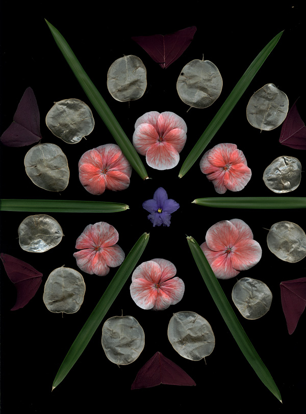 Craig Cramer bloom mandala3