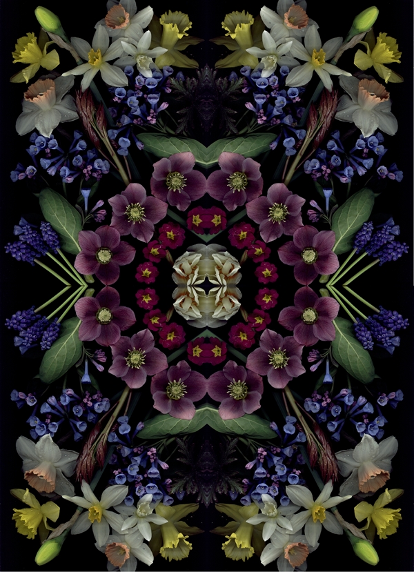 Craig Cramer bloom mandala2