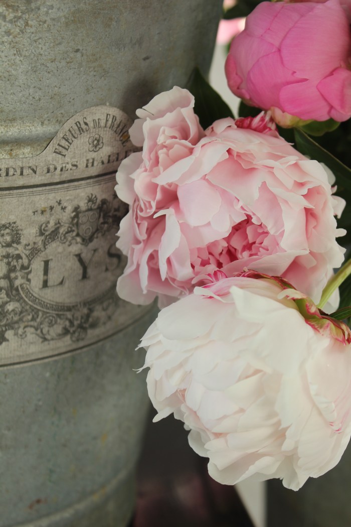 trouvais peonies