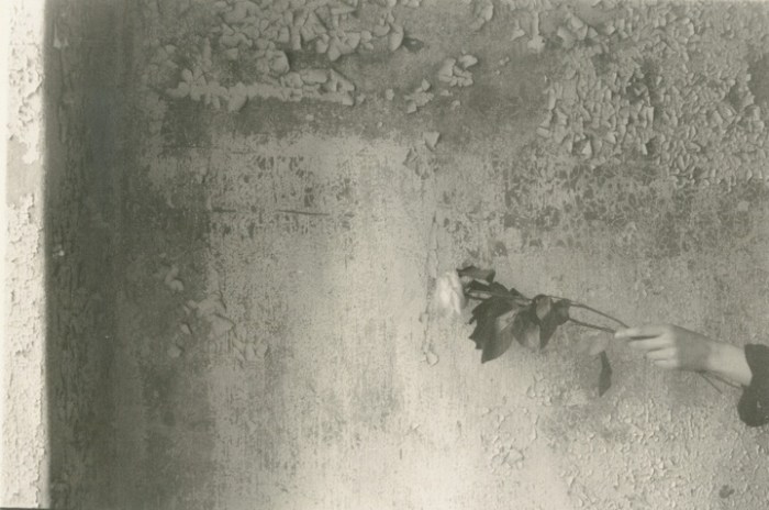 Joanna Pallaris | iGNANT photo 3