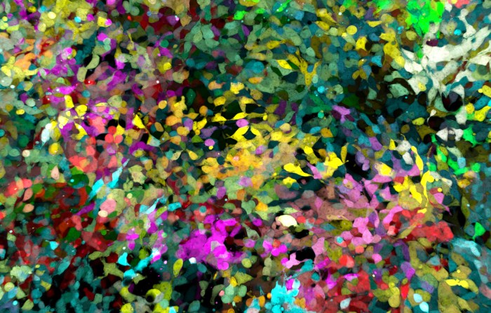 Life Under the Microscope - In Focus - The Atlantic 4