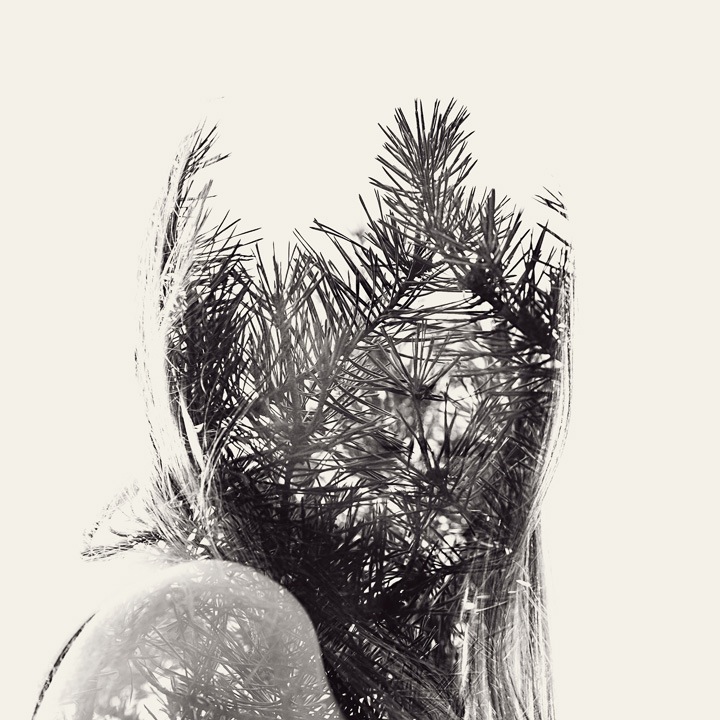 we are nature Christoffer Relander 3