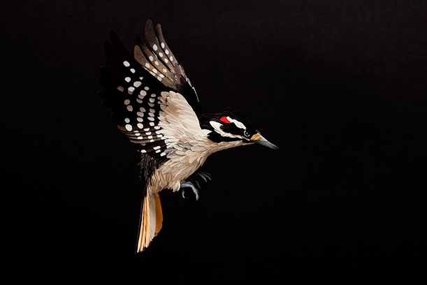 Diana Beltran Herrera's Flock of Paper Birds3